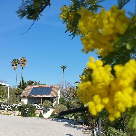 Frühstückspension D'hotes La Bigarade Golfe-Juan